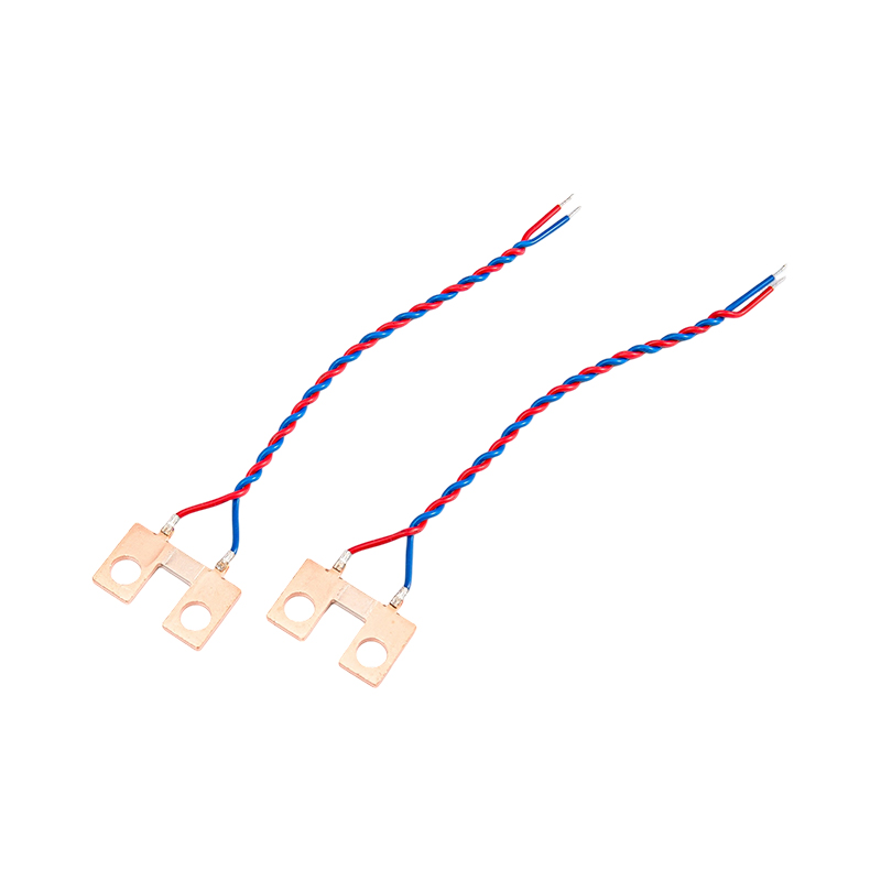 FHS-006 Zeer nauwkeurige tweedraads koperen shunt