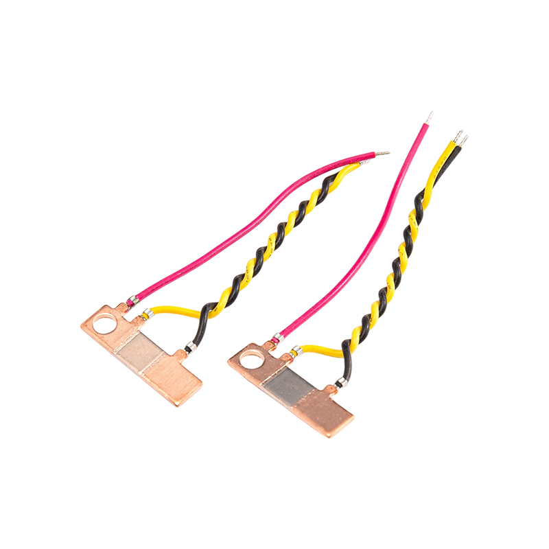 FHS-013 Hoge stabiliteit, temperatuurbestendige shunt